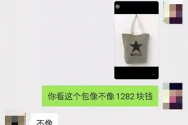 合浦企业清欠服务